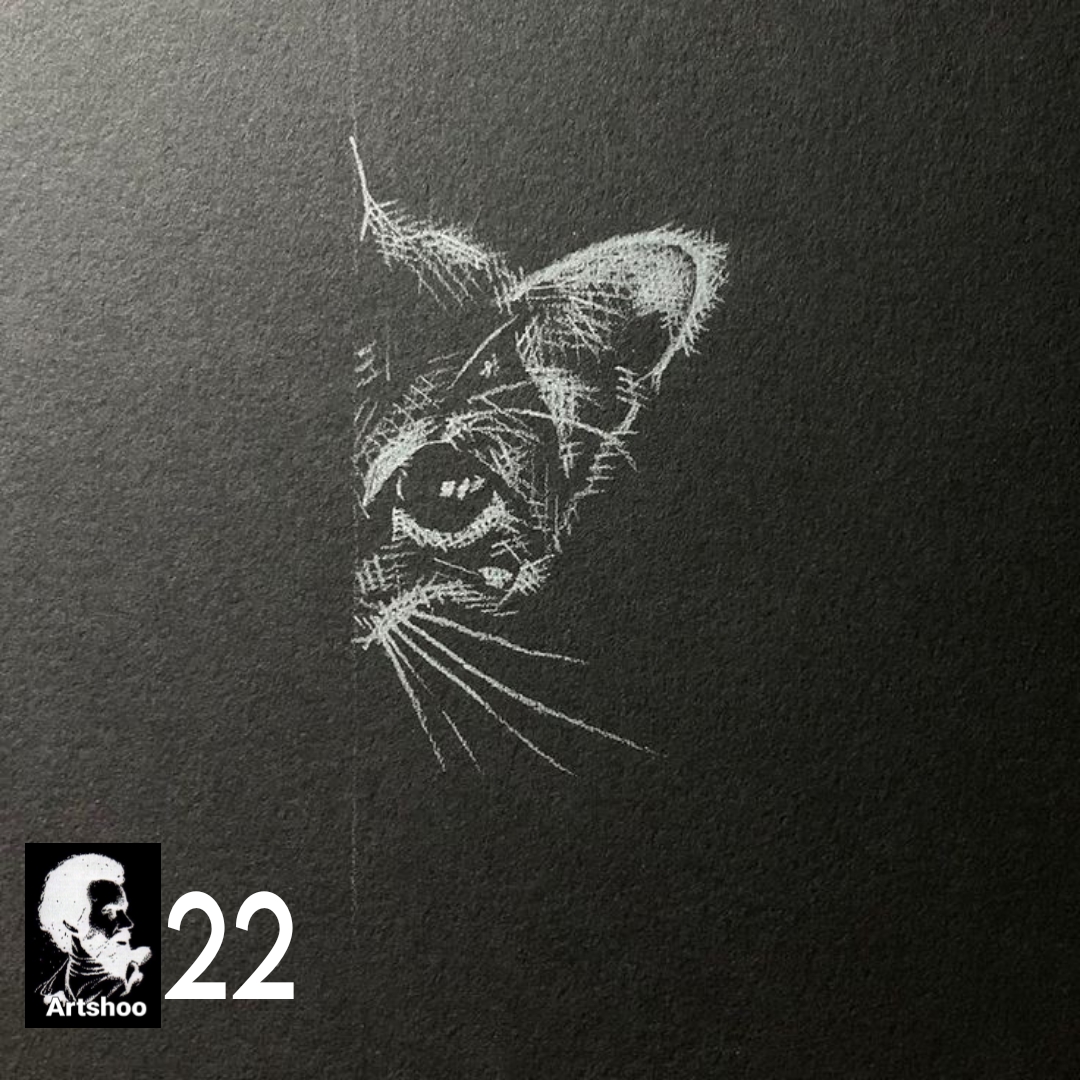 آموزش نقاشی طراحی سیاه قلم شهرری